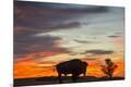 Premium Photographic Print