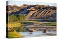 Stretched Canvas Print