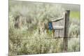 Photographic Print