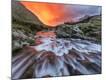 Photographic Print