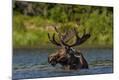 Photographic Print