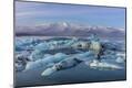 Premium Photographic Print