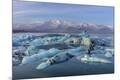 Premium Photographic Print