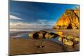 Photographic Print