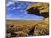Photographic Print