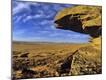 Photographic Print