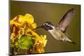Premium Photographic Print