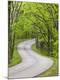 Premium Photographic Print