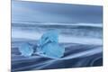 Premium Photographic Print