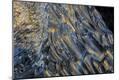 Premium Photographic Print