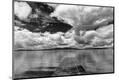 Photographic Print