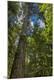 Premium Photographic Print