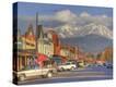 Stretched Canvas Print
