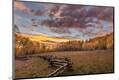 Premium Photographic Print