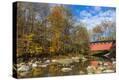 Stretched Canvas Print