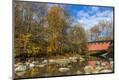 Photographic Print