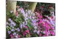 Premium Photographic Print