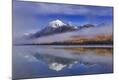 Photographic Print