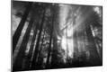 Photographic Print