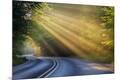Photographic Print