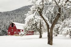 Fresh Snow on Red Barn Near Salmo, British Columbia, Canada-Chuck Haney-Photographic Print