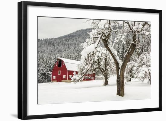 Photographic Print, , large