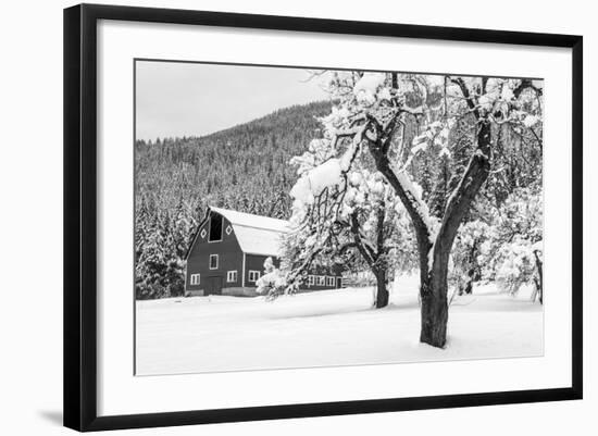 Photographic Print, , large
