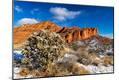 Photographic Print