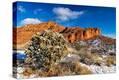 Stretched Canvas Print