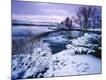 Photographic Print
