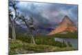 Photographic Print
