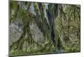 Premium Photographic Print
