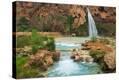 Stretched Canvas Print