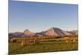 Premium Photographic Print