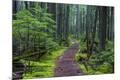 Photographic Print