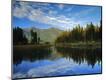 Photographic Print