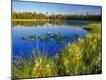 Photographic Print