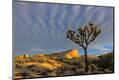 Premium Photographic Print