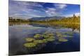 Premium Photographic Print