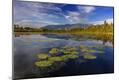 Premium Photographic Print