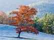 Premium Photographic Print