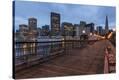 Stretched Canvas Print