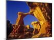 Photographic Print