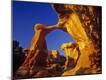 Photographic Print
