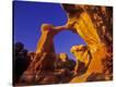 Stretched Canvas Print