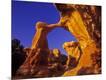 Photographic Print