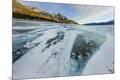 Photographic Print