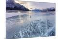 Premium Photographic Print