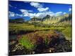 Photographic Print