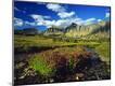 Photographic Print